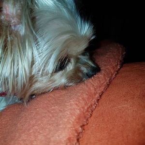 Meet your Posher, Theresa